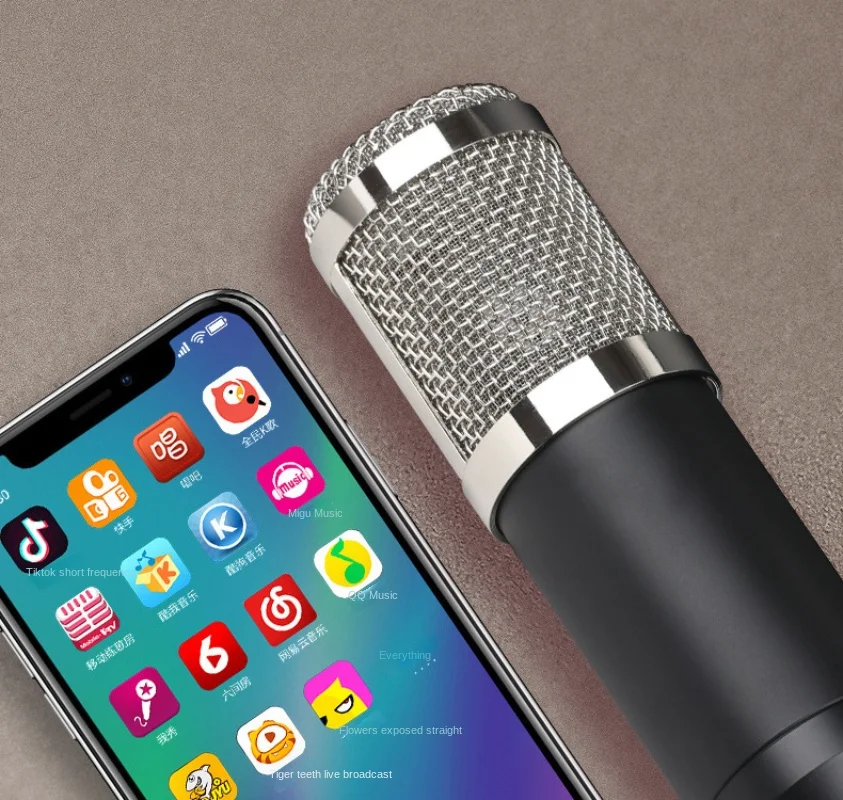 BM800 ชุดไมโครโฟนคอนเดนเซอร์,ส - Condenser Microphone Kit บทวิจารณ์และราคา