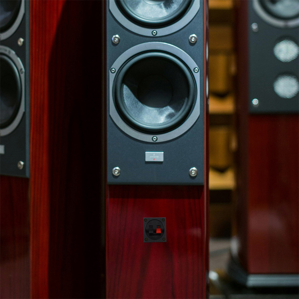 2 ชิ้น ขั้วต่อสปริงโลหะสำหรับล - Speaker Terminal บทวิจารณ์และราคา